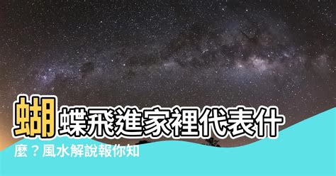 黑色蝴蝶飛進家裡|【蝴蝶飛進家裏】驚！蝴蝶飛進家裡，原來是天大的吉兆，別不識。